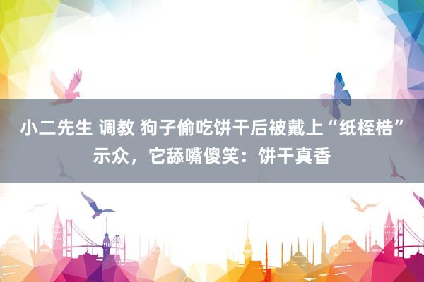 小二先生 调教 狗子偷吃饼干后被戴上“纸桎梏”示众，它舔嘴傻笑：饼干真香