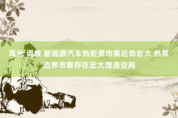 耳光 调教 新能源汽车热贬责市集后劲宏大 热泵边界市集存在宏大增漫空间