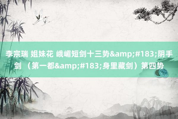李宗瑞 姐妹花 峨嵋短剑十三势&#183;阴手剑 （第一都&#183;身里藏剑）第四势