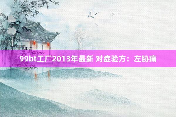 99bt工厂2013年最新 对症验方：左胁痛