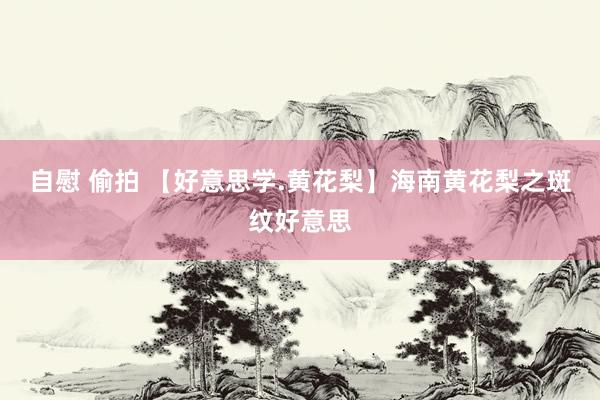 自慰 偷拍 【好意思学.黄花梨】海南黄花梨之斑纹好意思