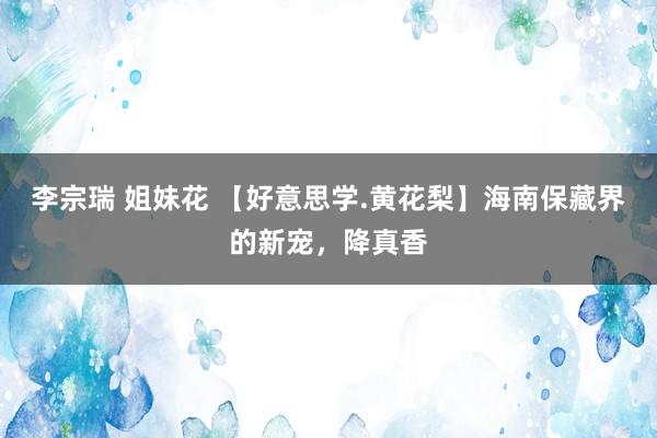 李宗瑞 姐妹花 【好意思学.黄花梨】海南保藏界的新宠，降真香