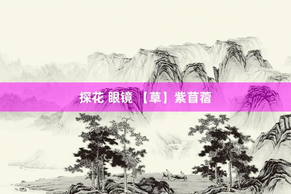 探花 眼镜 【草】紫苜蓿