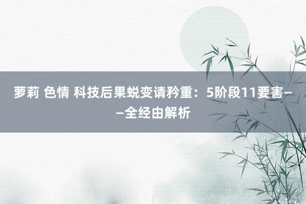 萝莉 色情 科技后果蜕变请矜重：5阶段11要害——全经由解析