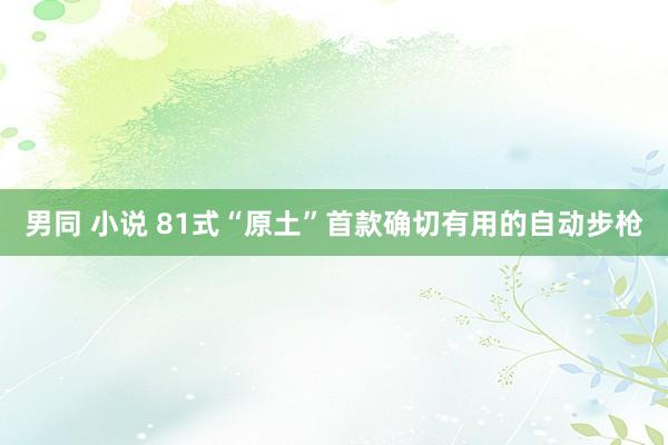 男同 小说 81式“原土”首款确切有用的自动步枪