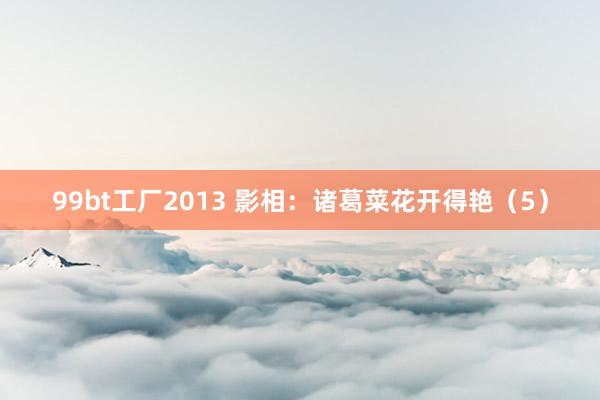 99bt工厂2013 影相：诸葛菜花开得艳（5）