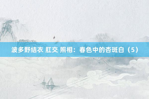 波多野结衣 肛交 照相：春色中的杏斑白（5）